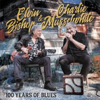 100 Years Of Blues