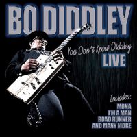 You Don't Know Diddley - Live